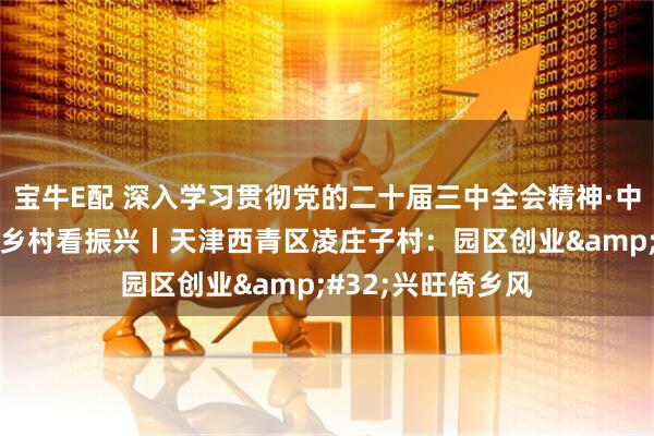 宝牛E配 深入学习贯彻党的二十届三中全会精神·中国式现代化·走进乡村看振兴丨天津西青区凌庄子村：园区创业&#32;兴旺倚乡风