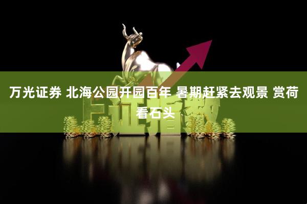 万光证券 北海公园开园百年 暑期赶紧去观景 赏荷 看石头