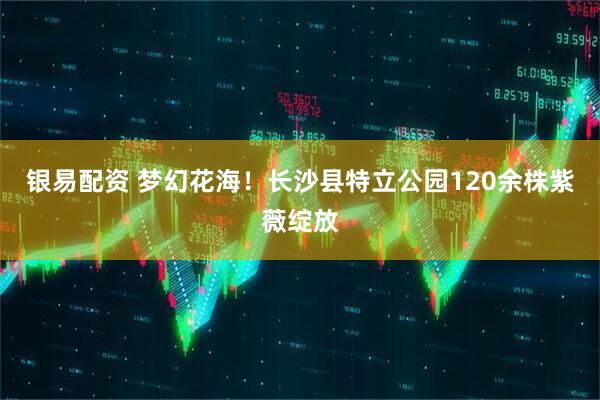 银易配资 梦幻花海！长沙县特立公园120余株紫薇绽放