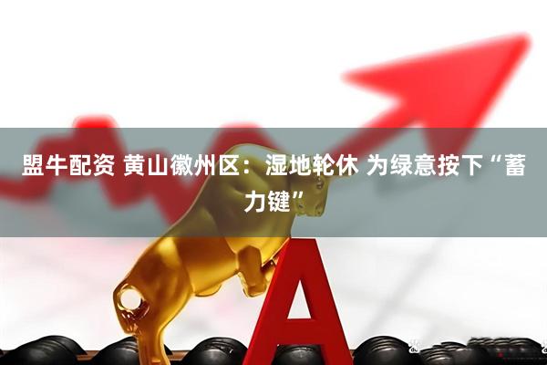 盟牛配资 黄山徽州区：湿地轮休 为绿意按下“蓄力键”