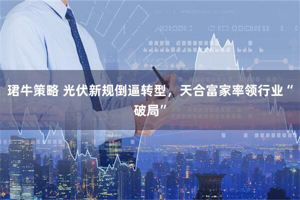 珺牛策略 光伏新规倒逼转型，天合富家率领行业“破局”